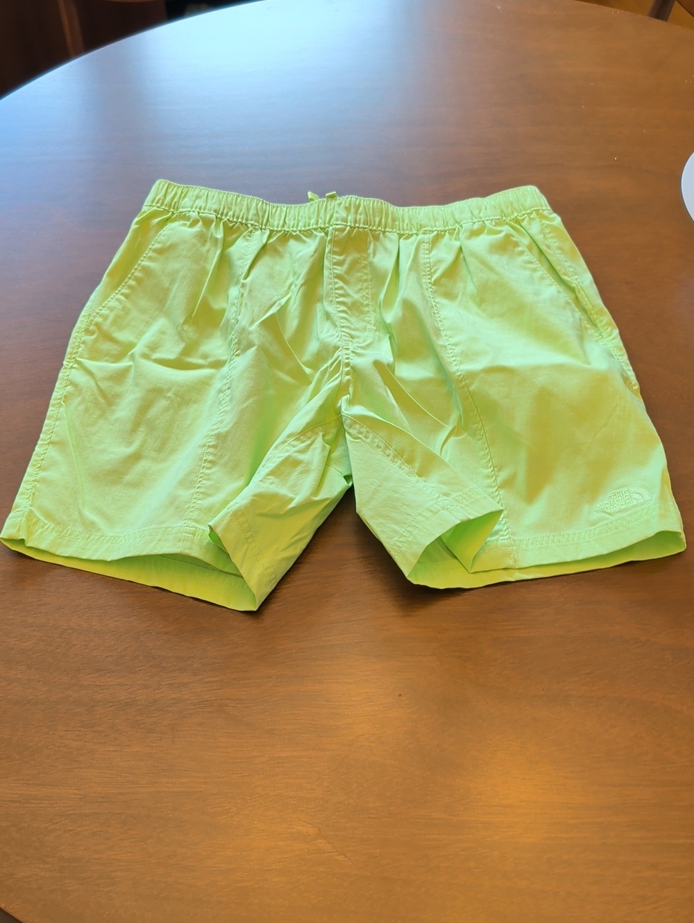 The North Face Shorts
